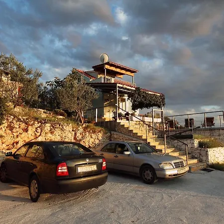 Kanica 10367 로고즈니차