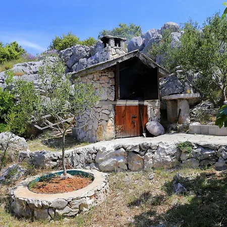 Tatil Evi Kanica 10367